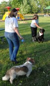Panel raising funds for dog park