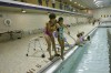 Spirited swimmers