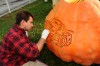 It's the great pumpkin display