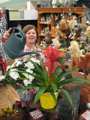 Color for cold weather: Blooming plants add a splash of indoor color during winter's long dark days