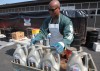 Painting a greener Earth