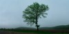 PNC presents "A Mythical Reality" photographs by Mel Theobald  