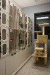 Munster Animal Hospital's Photos