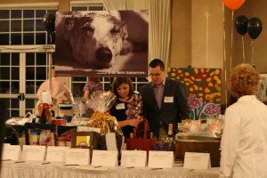 Auction raises funds for greyhound rescue group
