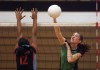 Illiana Christian wins third straight regional volleyball title