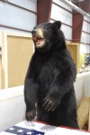 Hammond Outdoor Sports Show held last weekend