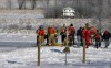 Horse rescued from pond 