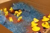 Peeps Diorama Biblical Scene of Moses and Parting of the Red Sea