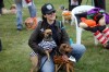 Halloween dog treats