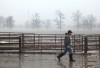 Fewer next-generation farmers grab the reins