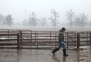 Fewer next-generation farmers grab the reins