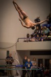 Griffith's Alex Rosales finished fourth in diving (444.6) at the state finals Saturday.