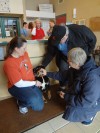 Humane society hosts Black Friday promotion