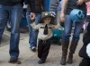 Whiting Halloween Celebrations 