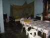 Peace Corps volunteer