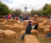 Straw Maze at Chicago Botanic Garden Fall Bulb Festival
