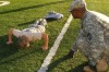 Hobart High School JROTC Cadets Top in Region