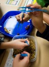 Students learn how ancestors 'gathered and grew'