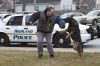 Police dog joins Highland ranks