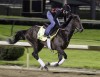 Wide-open race expected in 139th Kentucky Derby  