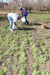 Governments looking at potential of improving community health through food studies