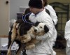 About 35 dead, living dogs found in feces-filled home