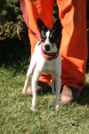Pets of the week
