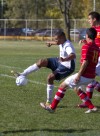 bsoc_noll_sec_KS08.jpg