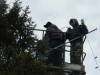 Cal City preps for Christmas