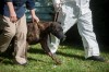 Ailing dogs, cats removed from Salt Creek Commons home