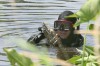 Divers seek slaying evidence