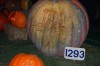 Flinstones Pumpkins