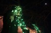 Lights on for Griswold Tour