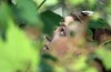 Scientists, students converge on Newton County for bioblitz