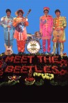 Meet the Beetles