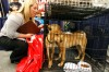 NWI Home Show hopes spring takes a break so visitors will come