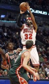 Richard Hamilton, Bulls