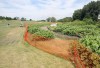 Endangered snake gets bridge over habitat