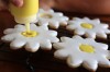 COOKIELICIOUS