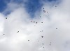 Slain soldier remembered
