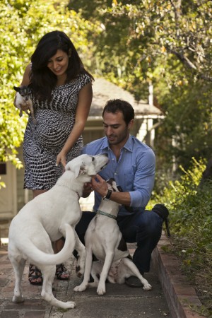 Doggy couch surfing? Website has lodging for dogs