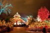 Lincoln Park Zoo lights up for the season