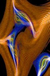 Science, art fused in Lubeznik's 'Informatika' 