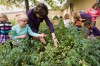 South Haven kindergartners reap rewards of teaching garden