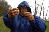 Four decades of fishing