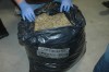 Five charged in $4.9 million pot bust