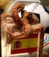 Paul the Psychic Octopus
