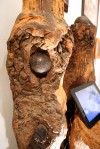 Civil War Cannon Balls on Display at Porter County Museum