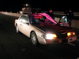 Construction worker killed in fatal hit and run