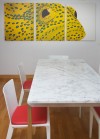 Fabulous features: These homeowners have an eye for the appeal